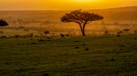 Sunrise - Masai Mara National Preserve