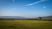 Masai Mara National Preserve