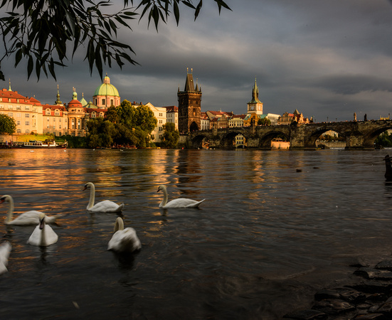 Vltava River looking towards Charles Bridge and Powder Tower - Prague