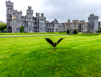 Ashford Castle - County Galway