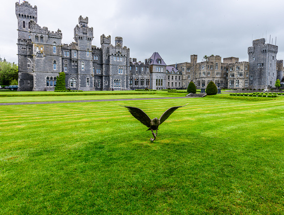 Ashford Castle - County Galway
