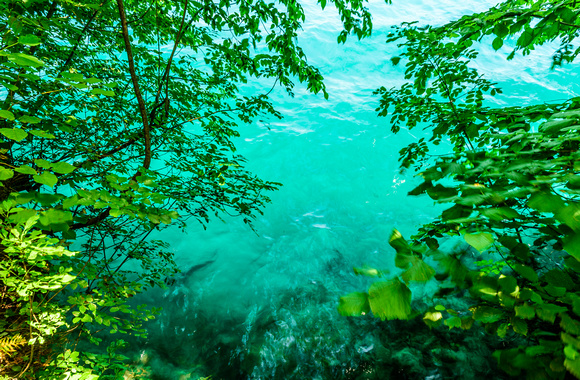 Lake Bled Color