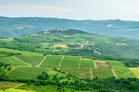 View from Motovun Wall