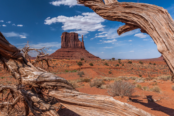 Arches-Monument Valley- Glen Canyon-2