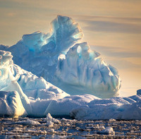 Iceberg Near Petermann island