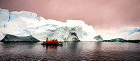 Zodiacs Cruising in Andvors Bay - Antarctica