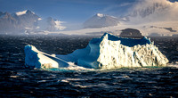 Iceberg near Bransfield Island - Antarctica