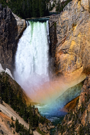 Rainbow over the Lower Falls - Yellowstone National Park