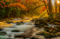 Sunrise - Little River - Elkmont - Great Smoky Mountains National Park