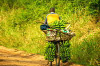 Delivering Bananas - Near North Queen Elizabeth National Park